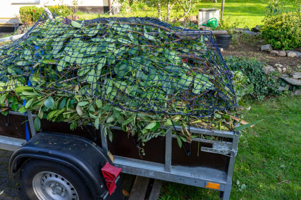 Best Hoarding Cleanup  in Eastport, NY